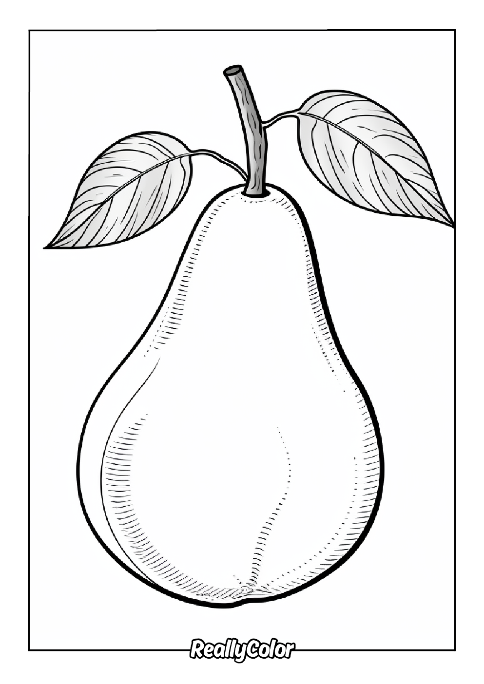 Realistic pear coloring page