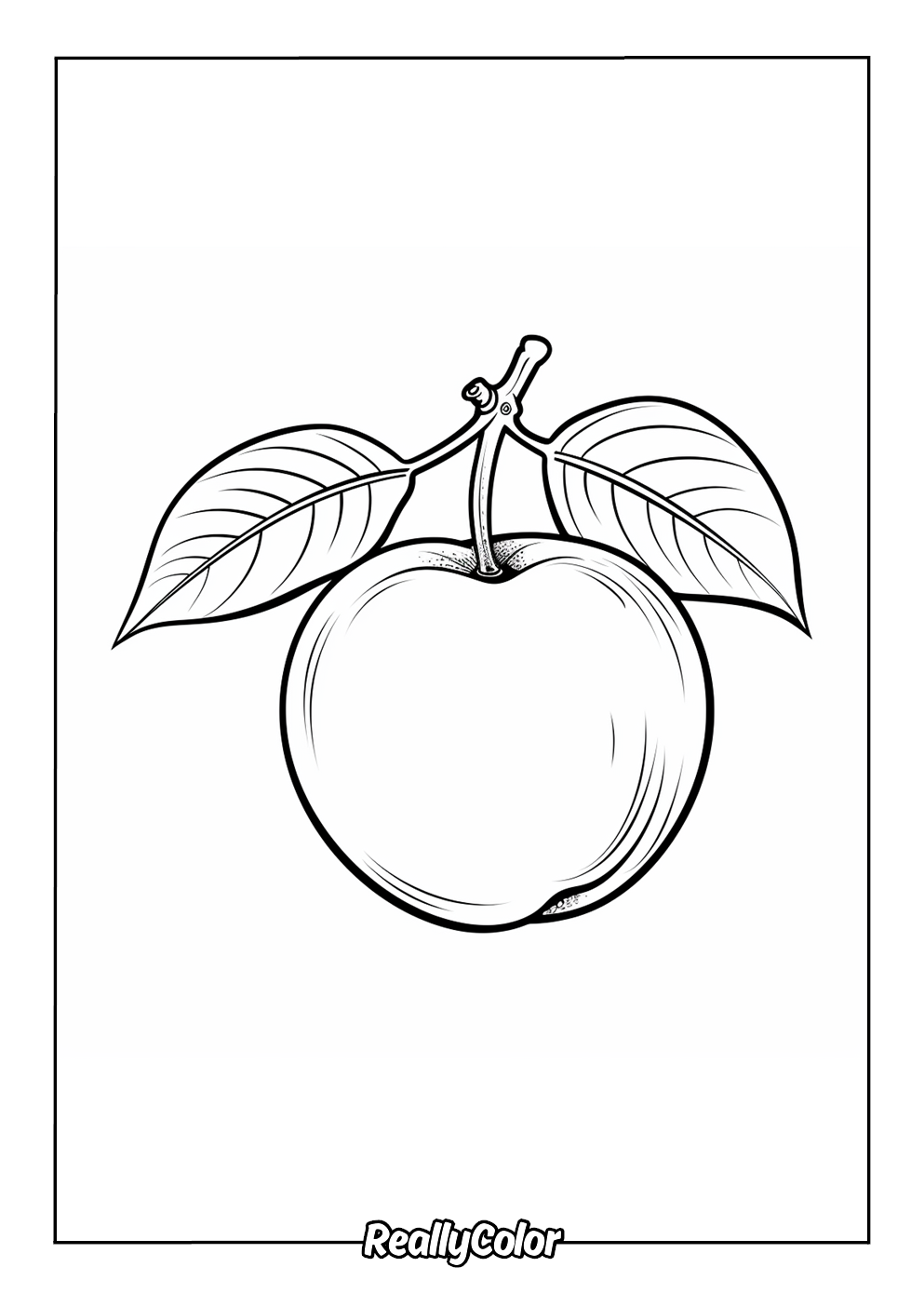 Simple apple easy to color