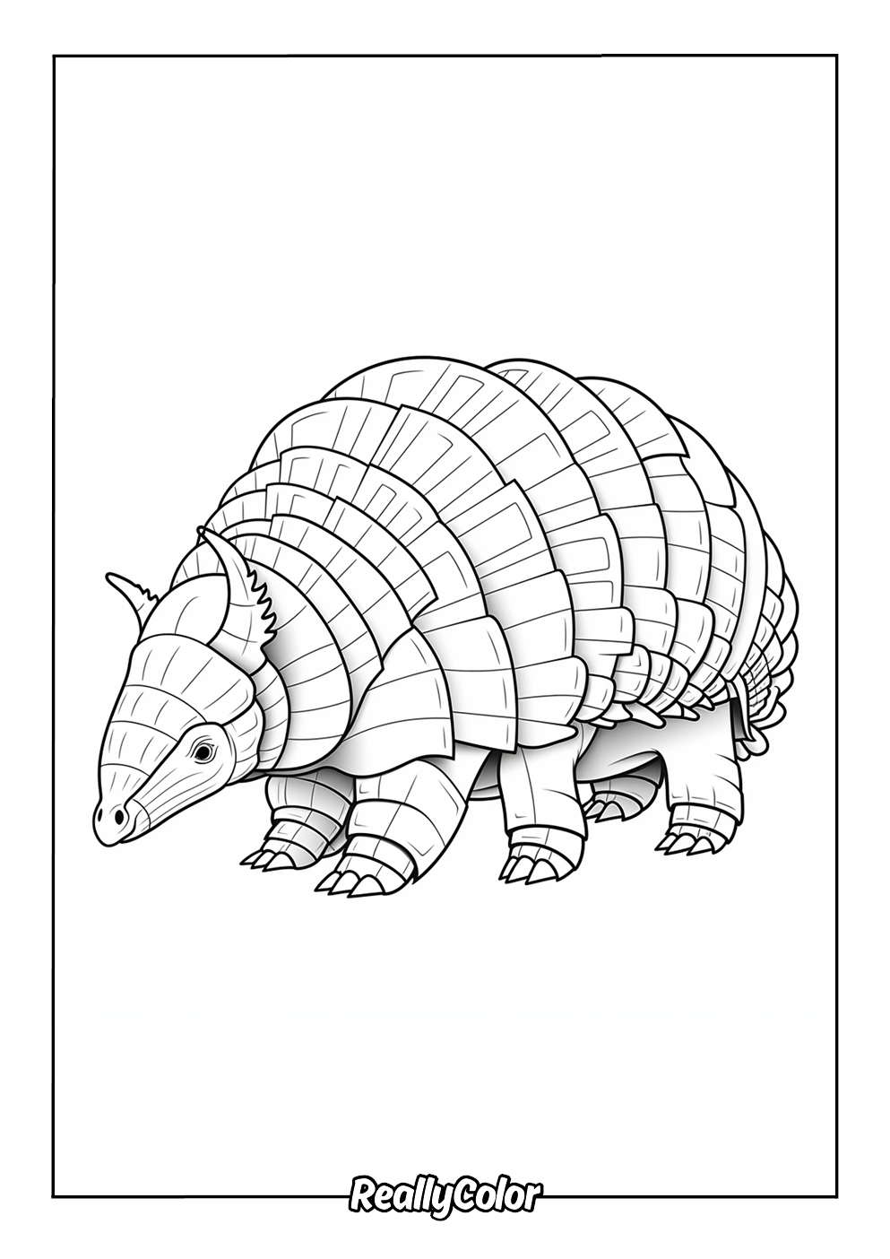 Simple armadillo coloring page