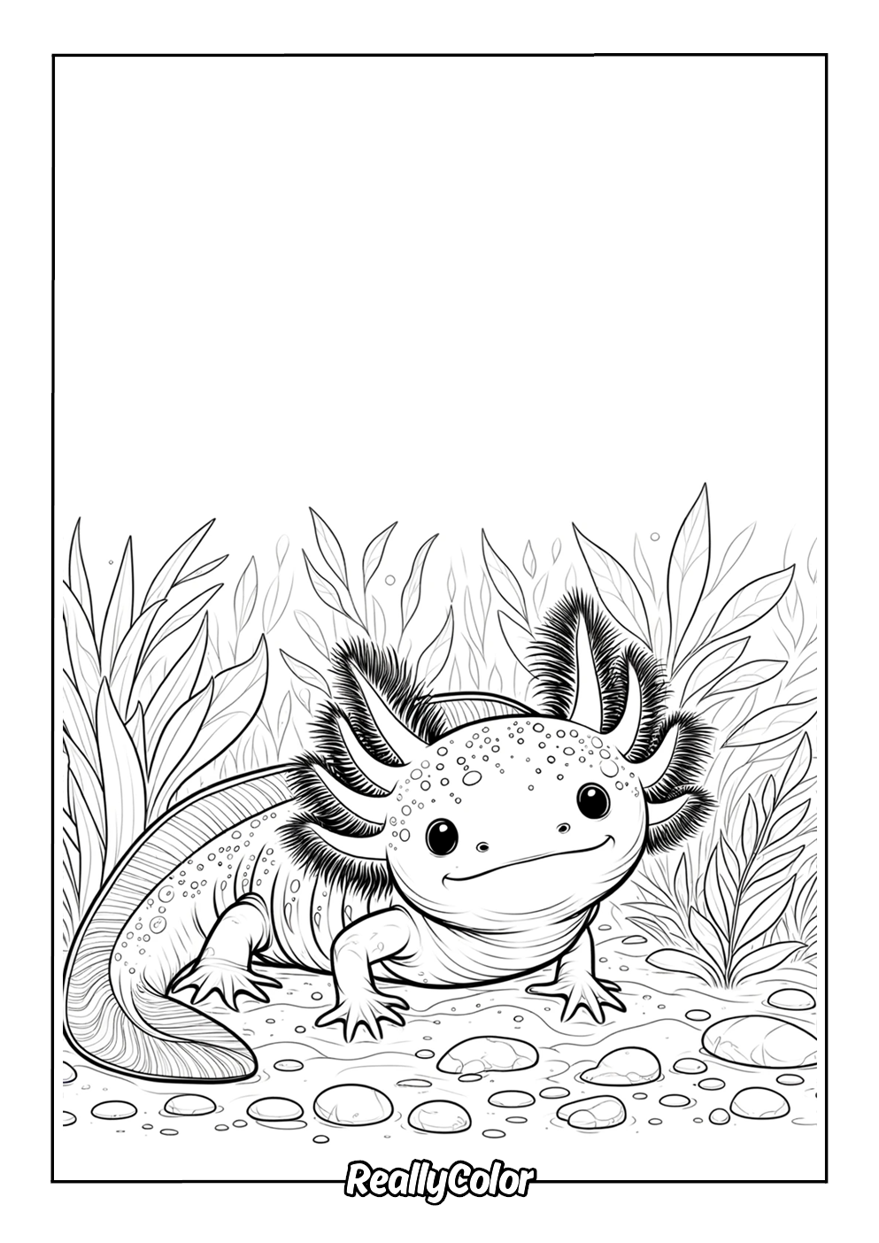 Simple axolotl color page