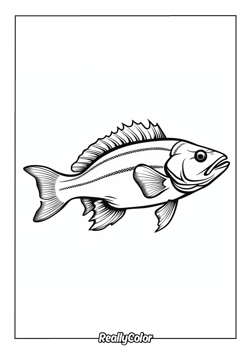 Simple bass fish easy to color