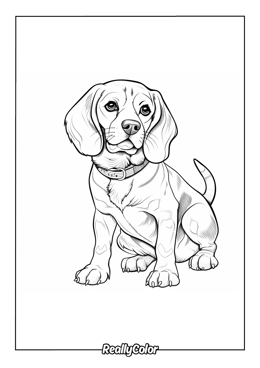 Simple beagle dog coloring page