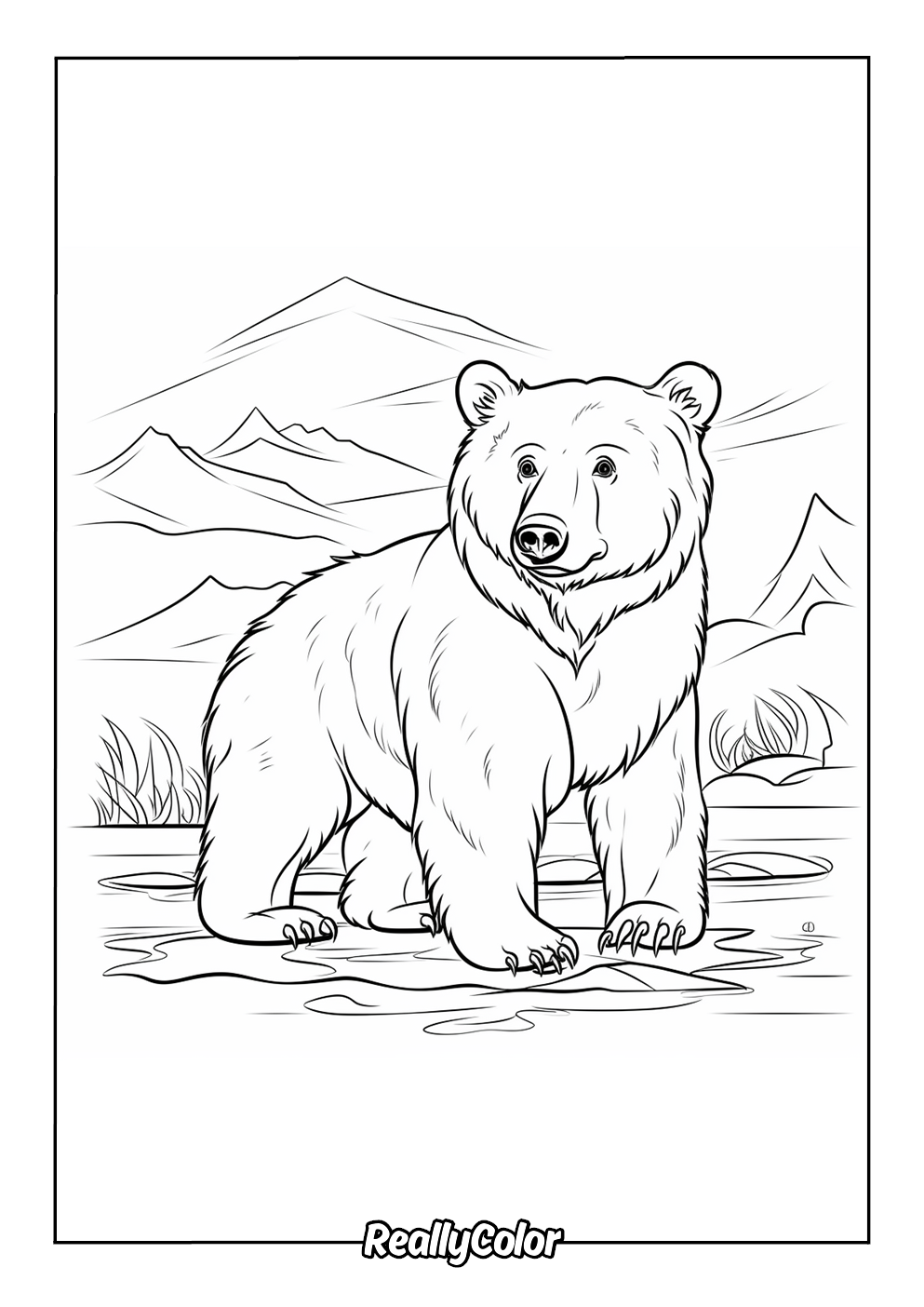 Simple bear coloring page