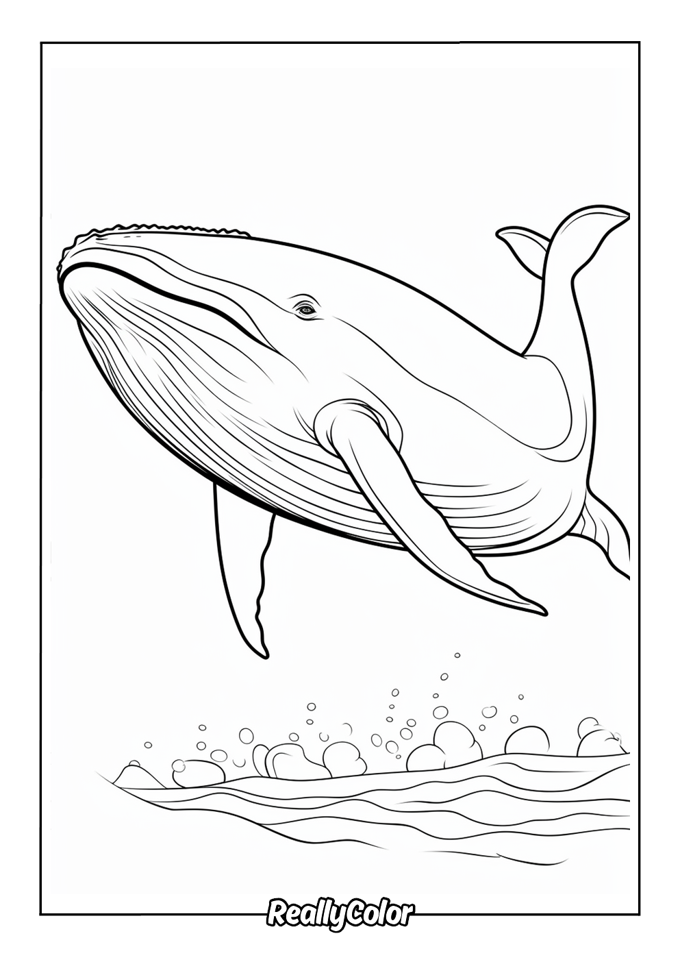 Simple blue whale color page
