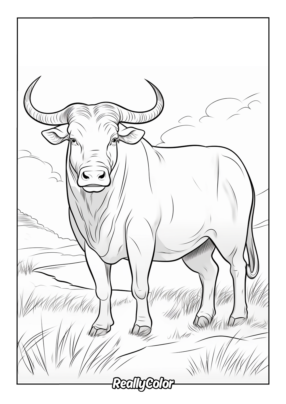 Simple buffalo coloring picture