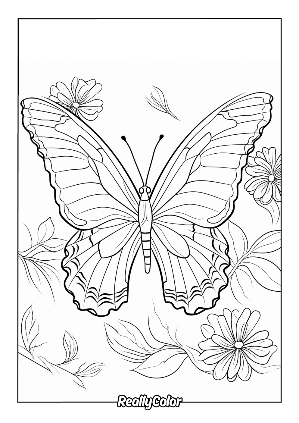 Simple butterfly coloring page free