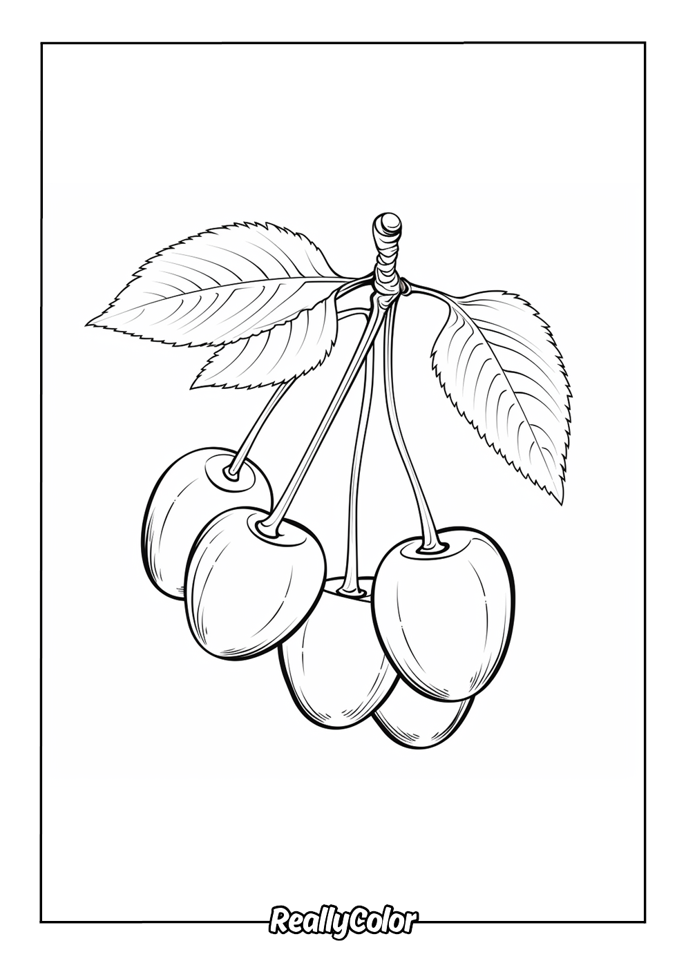 Simple cherry coloring page