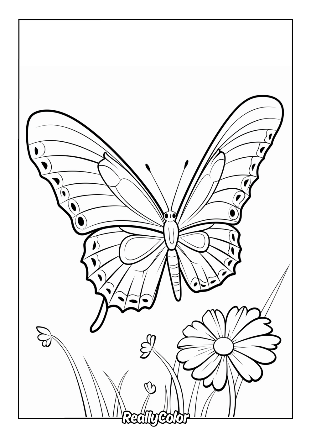 Simple color page butterfly