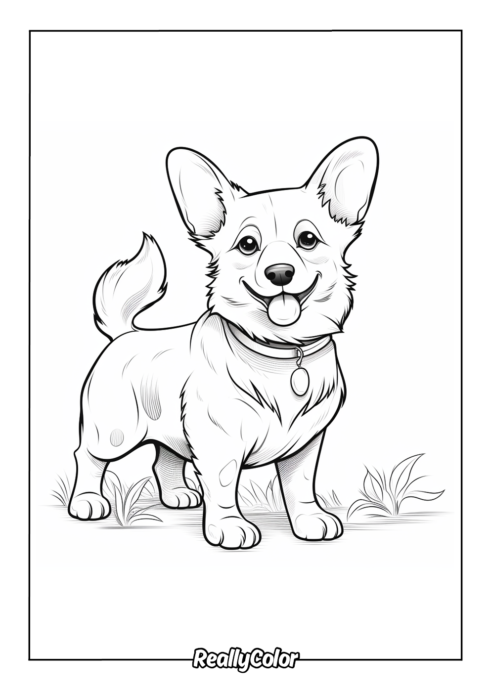 Simple corgi dog coloring page for kids