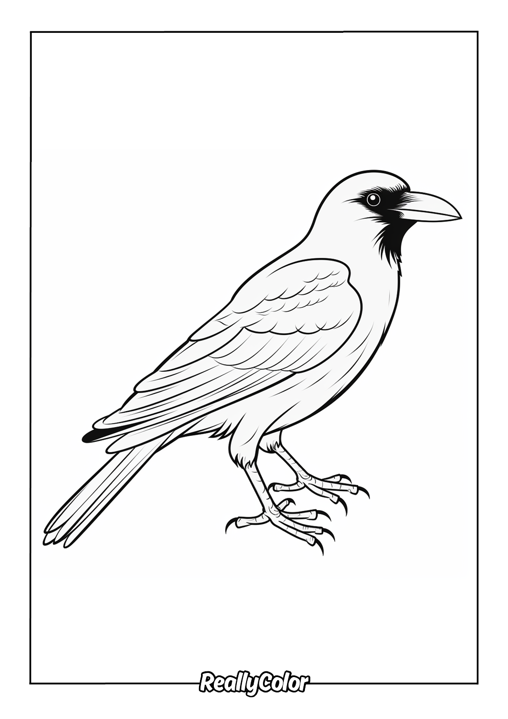 Simple crow coloring page