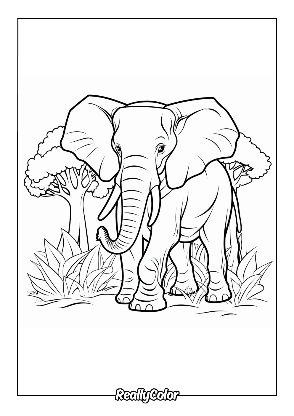 Simple elephant color page