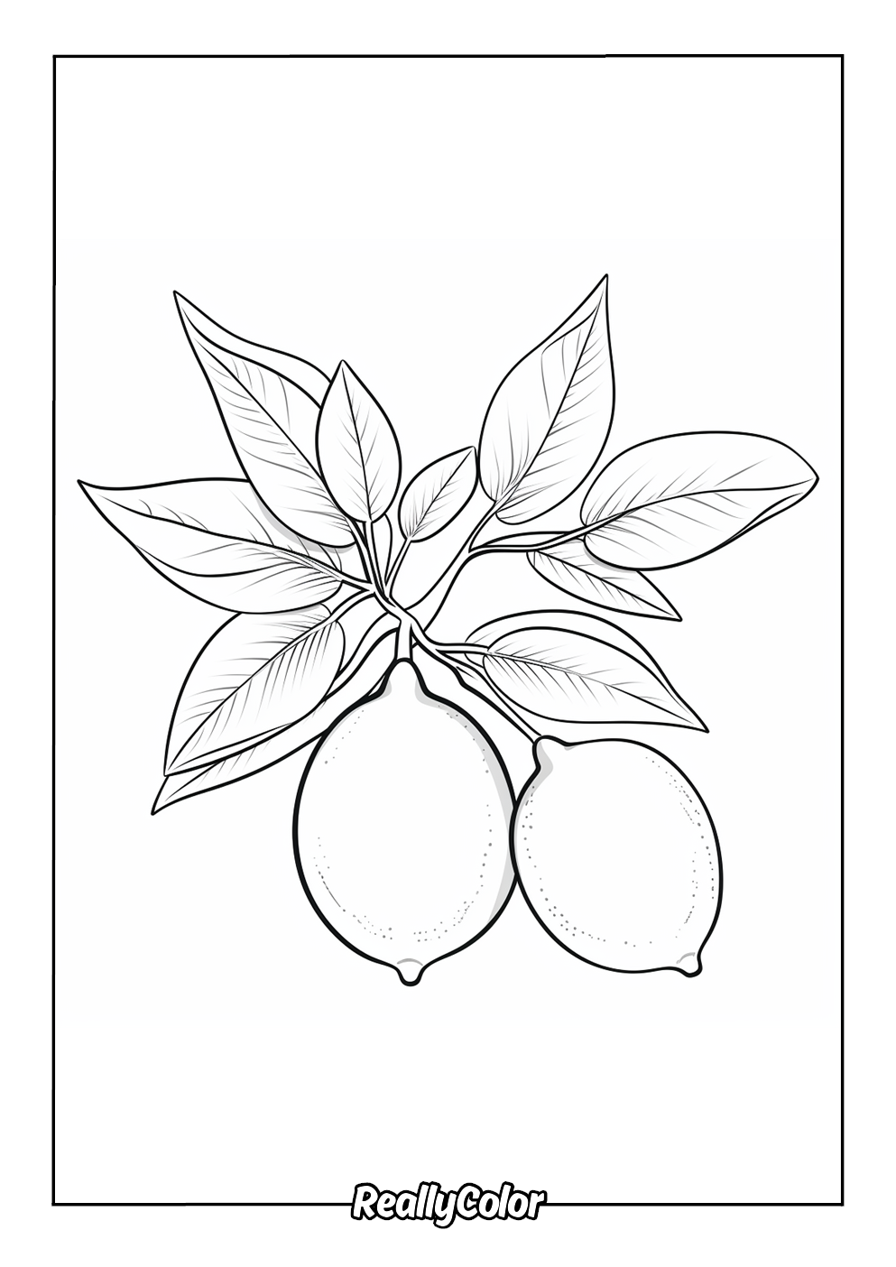 Simple lemon coloring page for kids