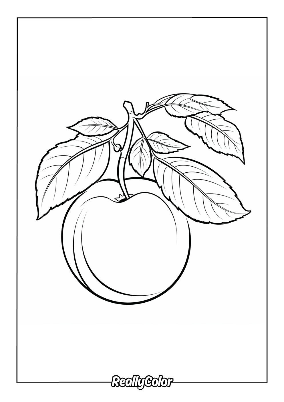 Simple peach to color