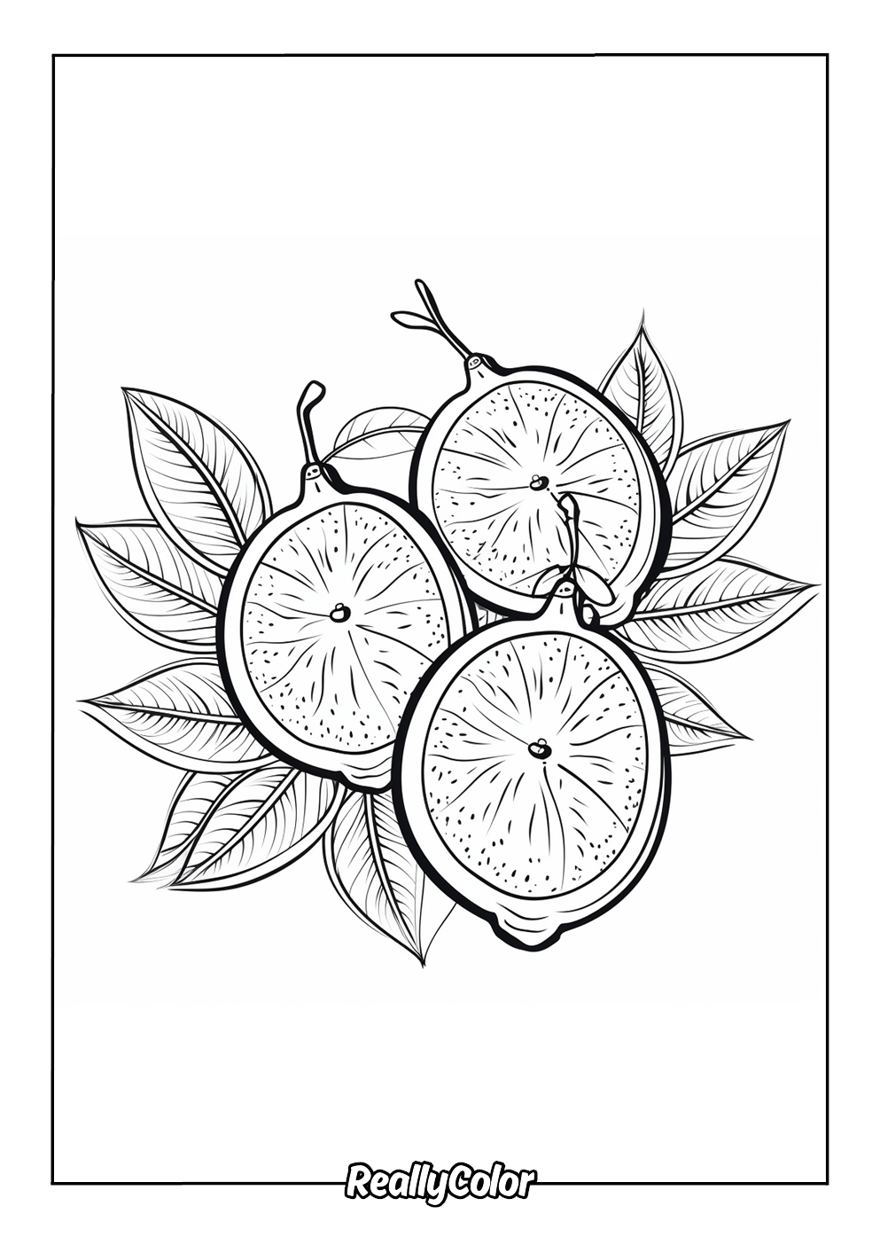 Sour lemon to color