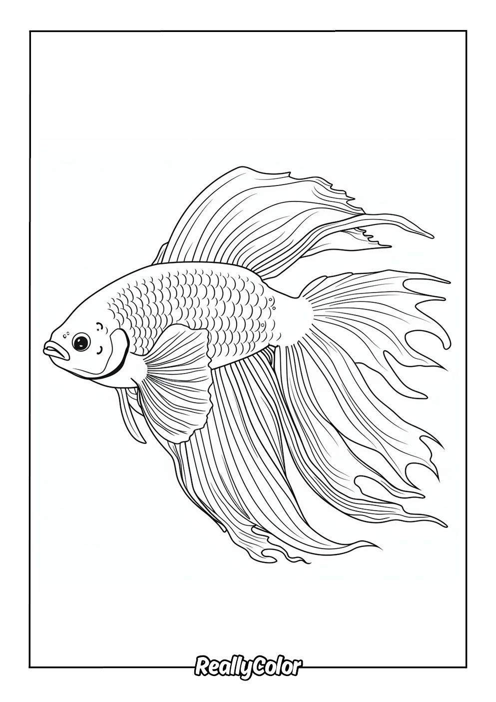 Stunning betta fish coloring page