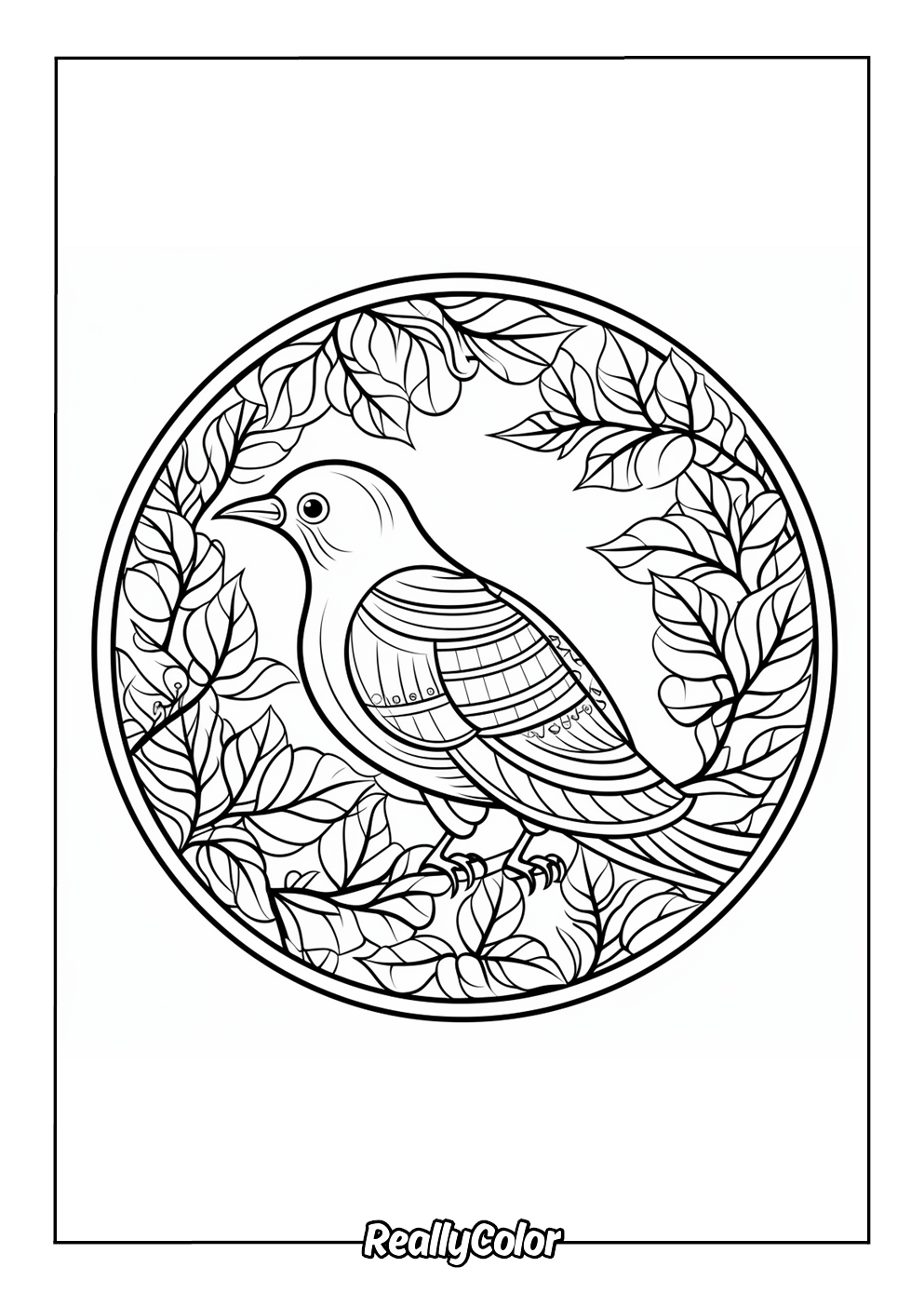 Stunning coloring page of a bird