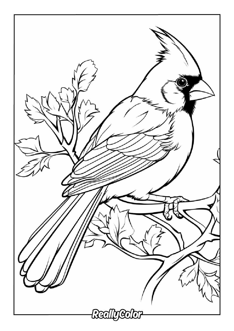 Stunning red cardinal bird coloring page