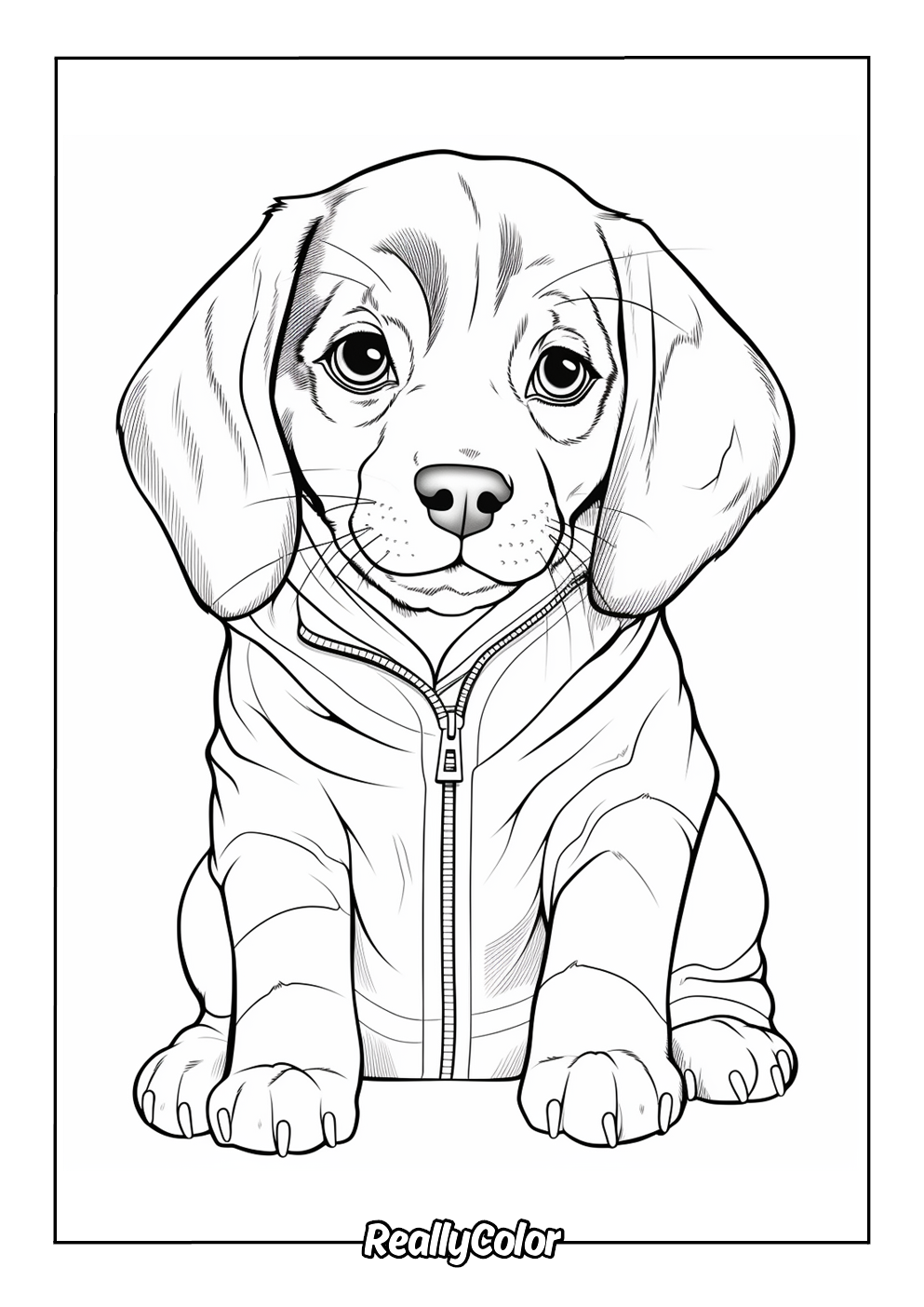Stylish beagle for coloring