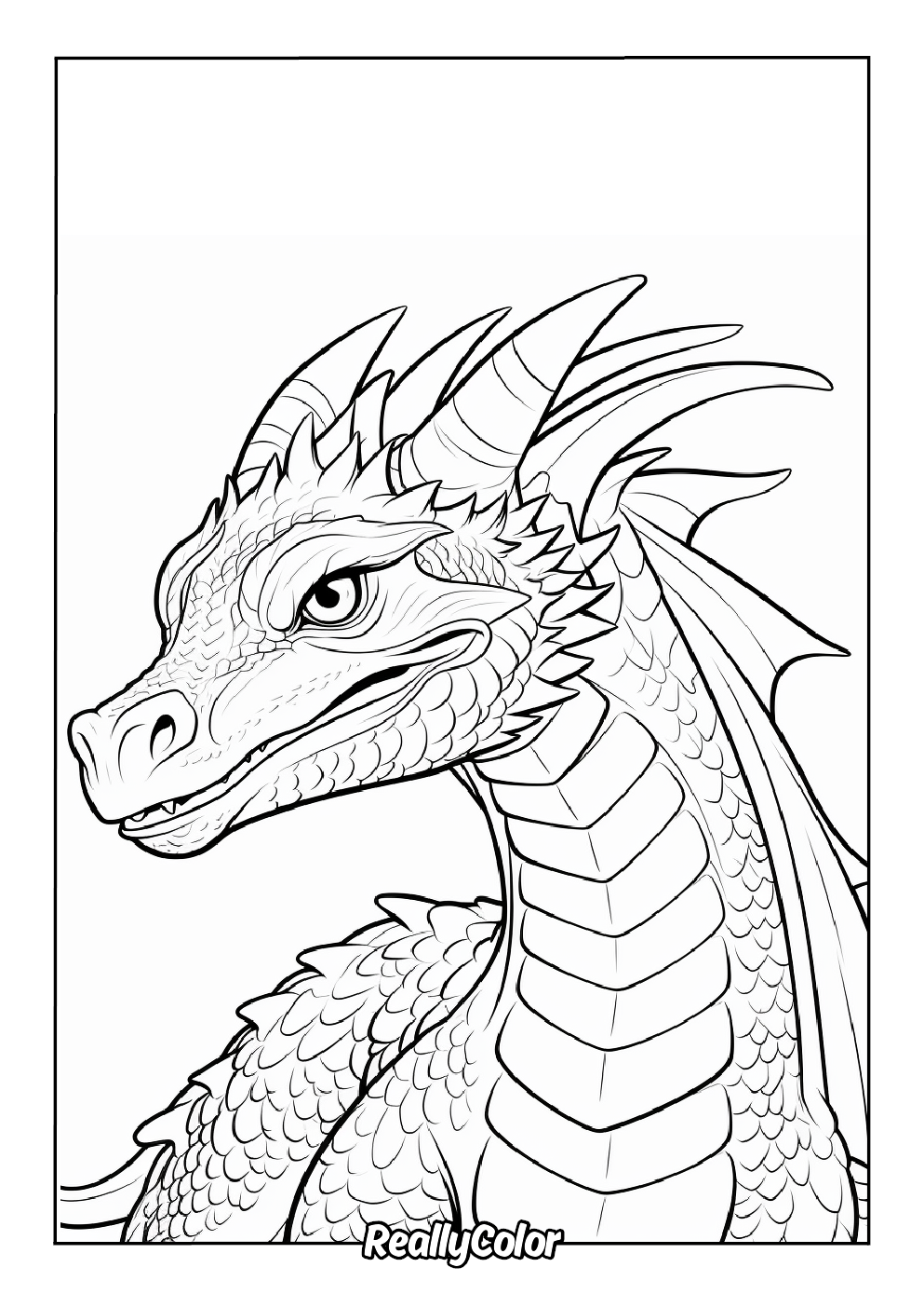 Advanced realistic dragon coloring page