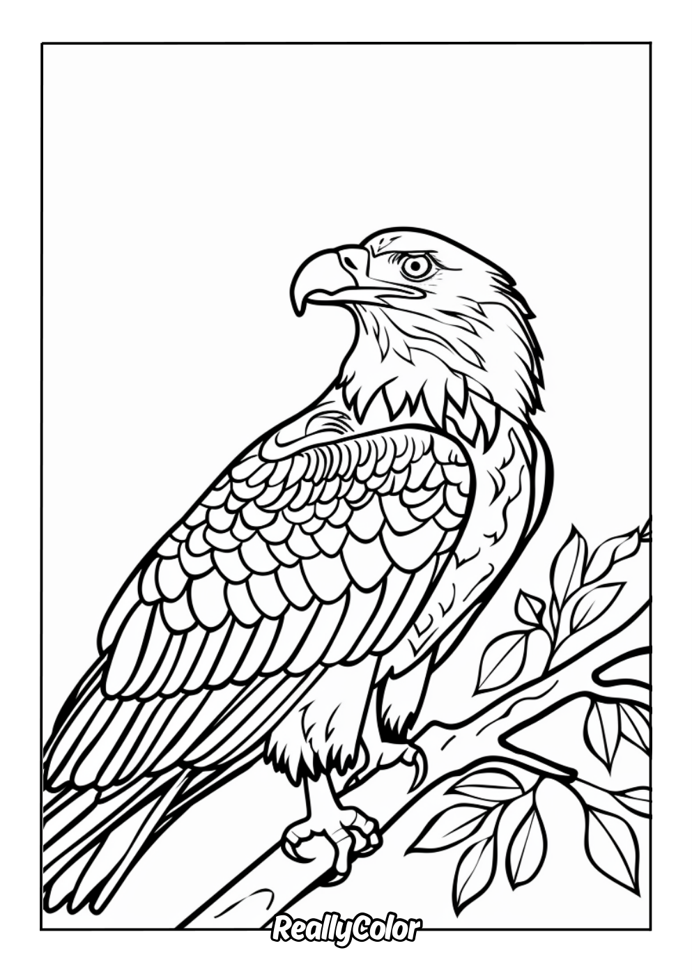 American bald eagle coloring page for adults