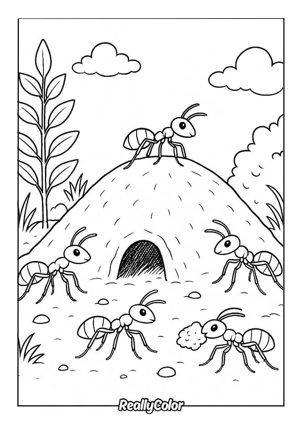 Ant hill coloring page