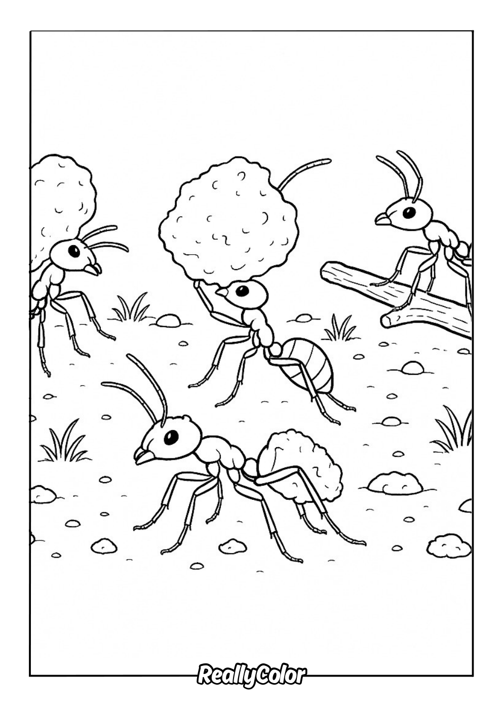 Ants carrying food coloring page