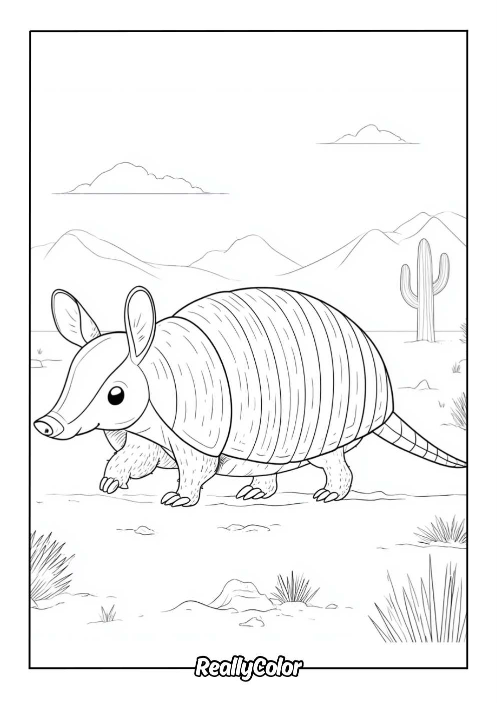 Armadillo coloring page for adults