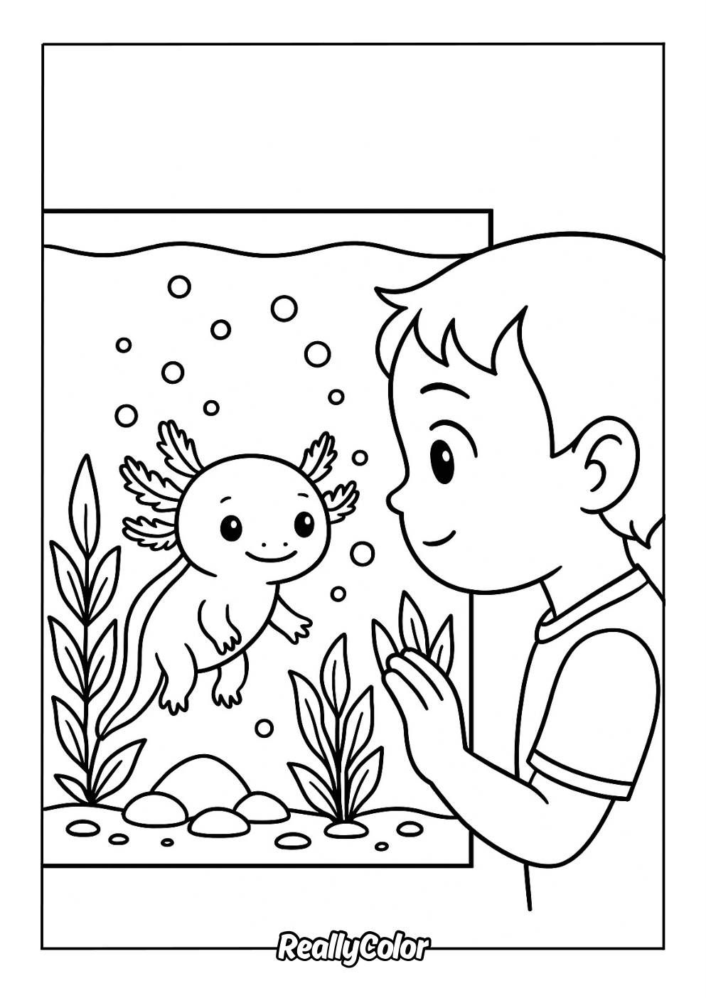 Axolotl in an aquarium coloring page