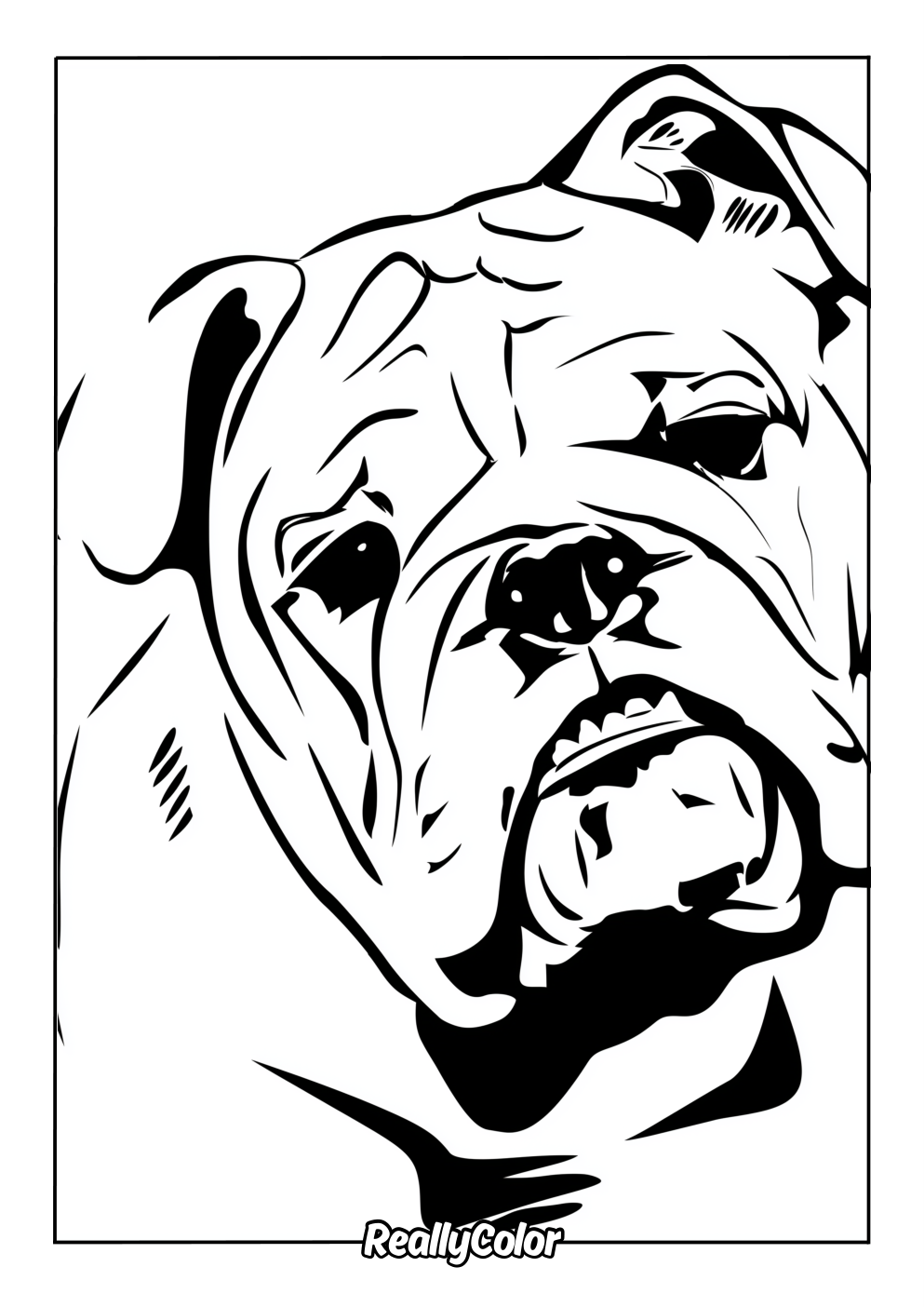 Bulldog coloring picture