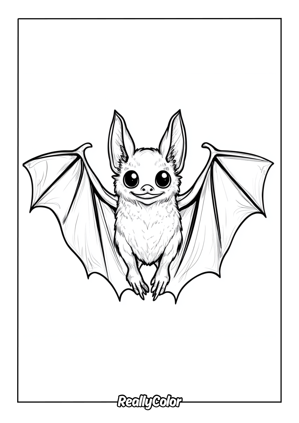 Coloring page of a real bat