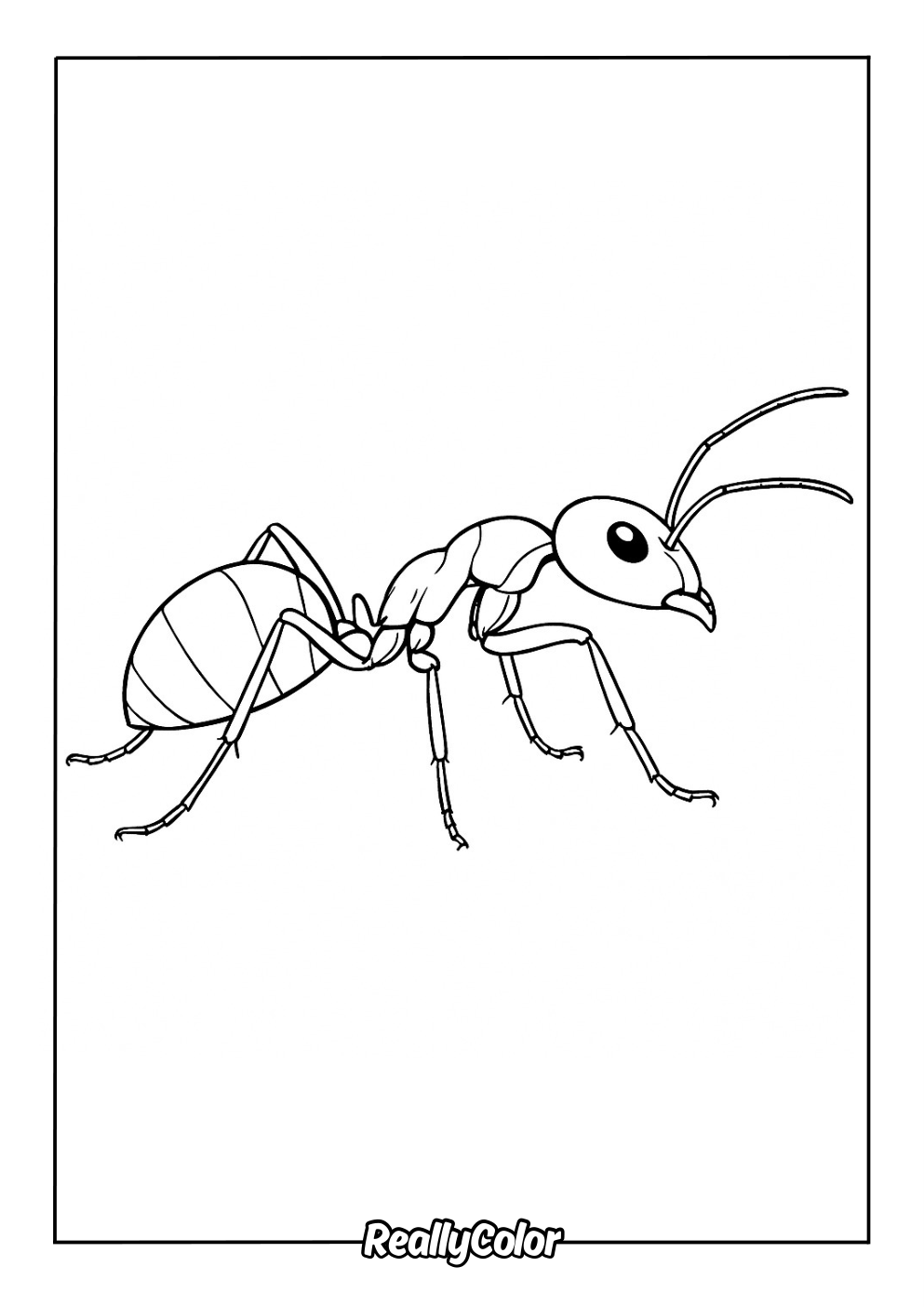 Coloring page of a realistic ant