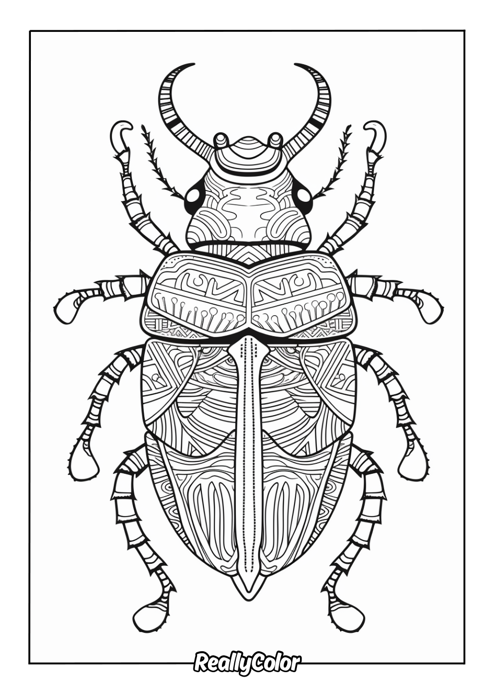 Detailed beetle coloring page