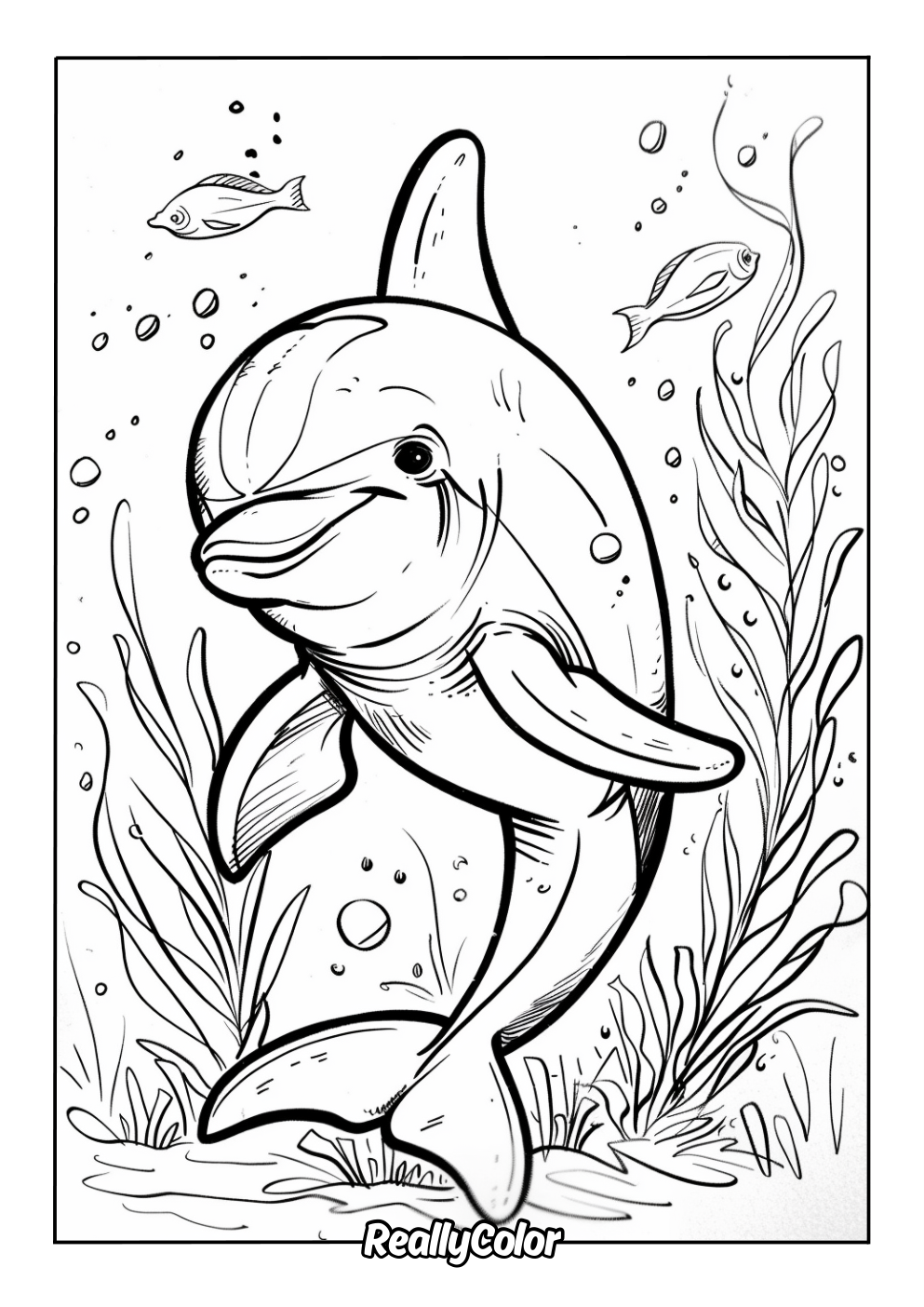 Detailed coloring page of a realistic dolphin