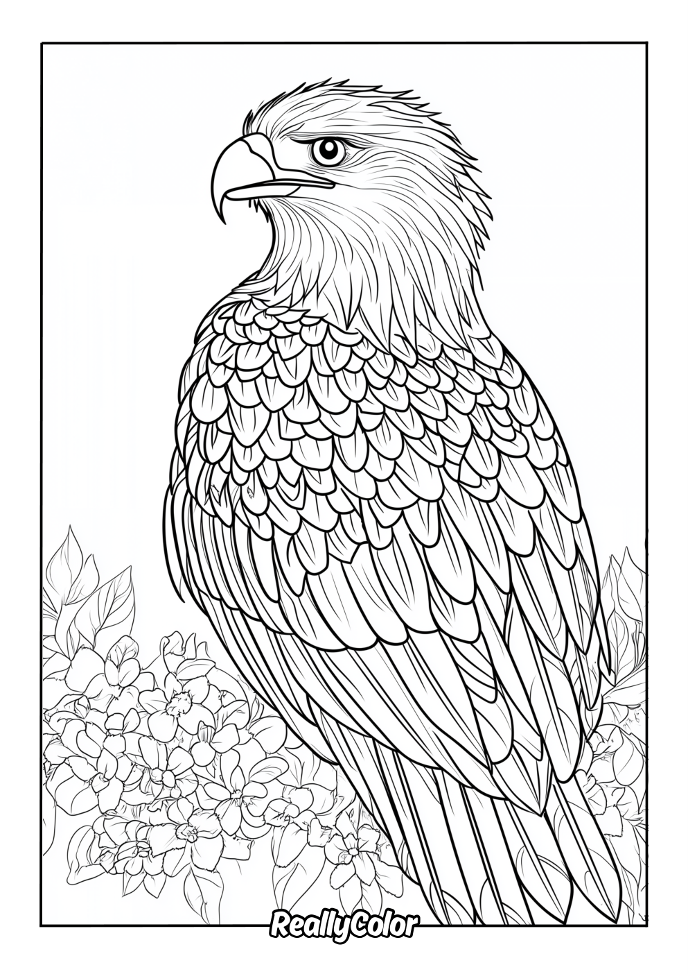 Detailed eagle coloring page for adults