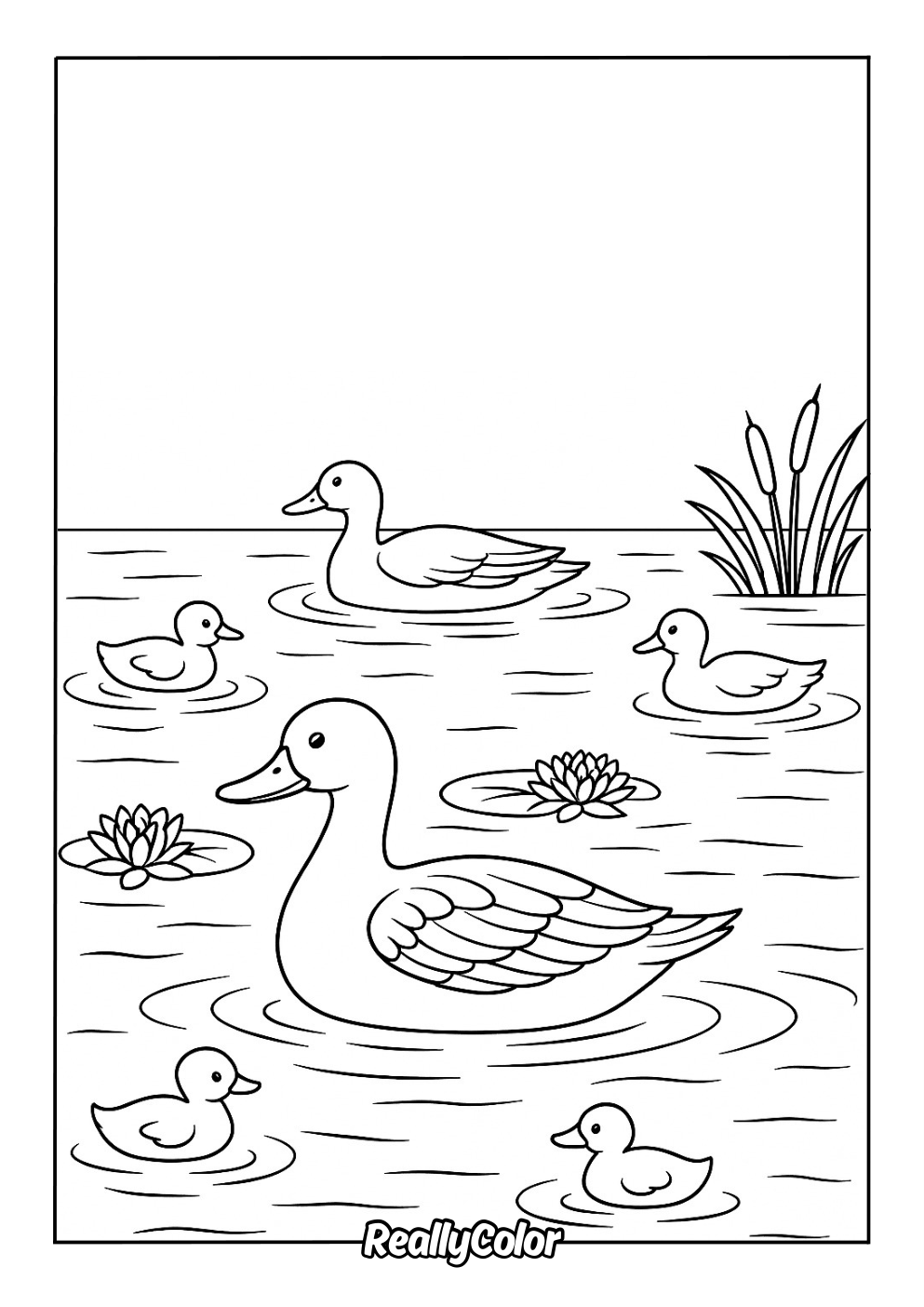 Duck pond coloring page
