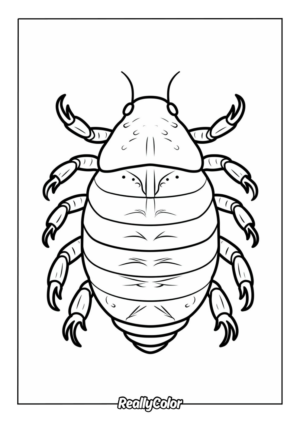 Easy beetle color page