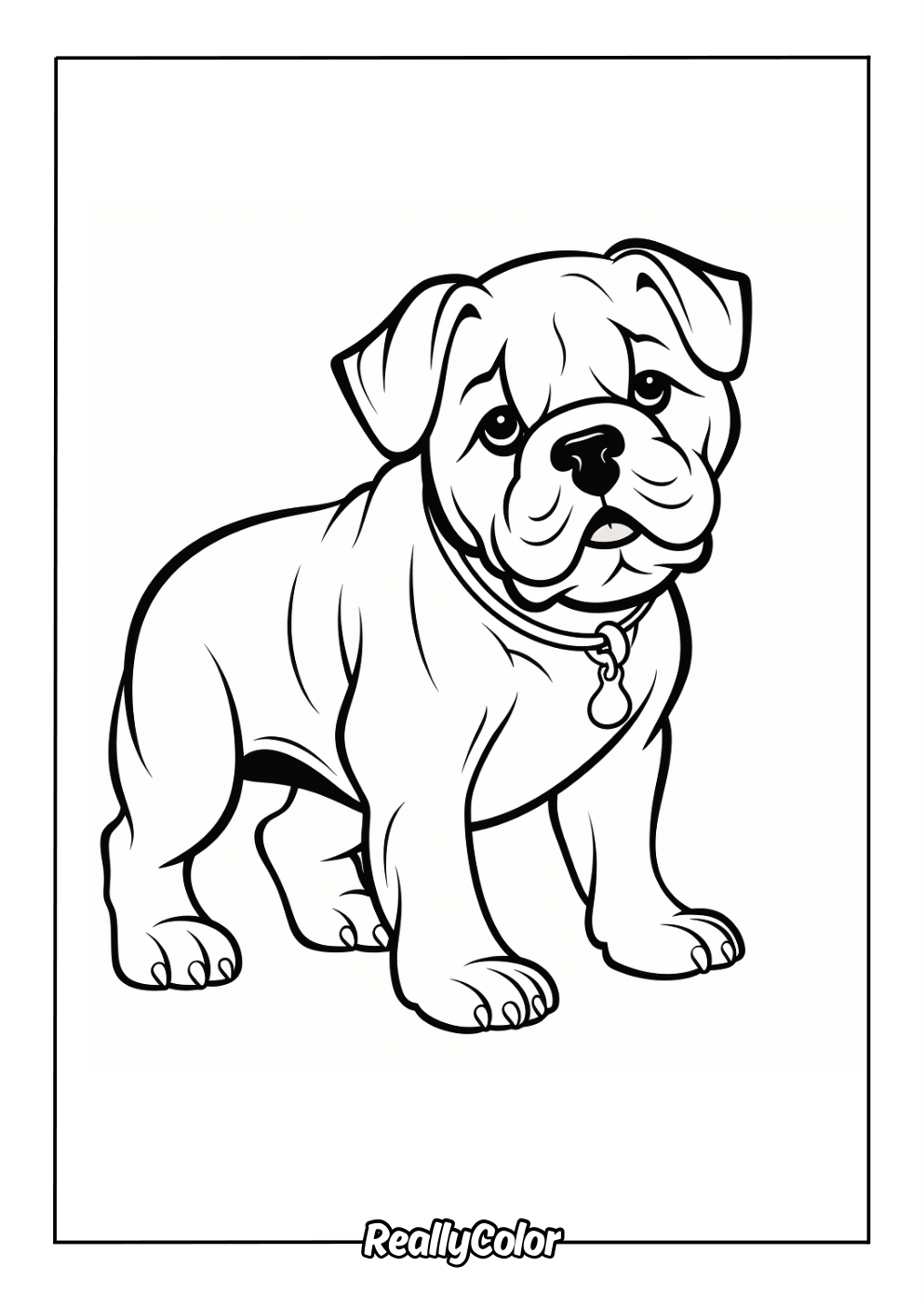 Easy bulldog coloring page for kids