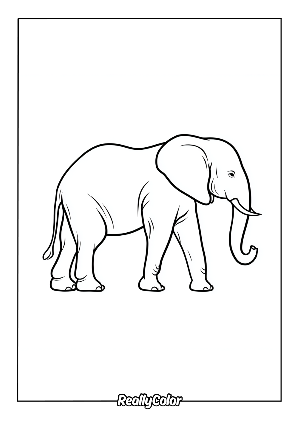 Easy coloring page of an elephant