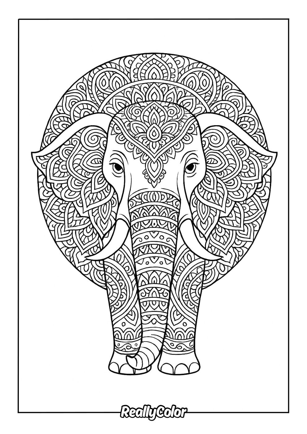 Elephant mandala coloring page for adults