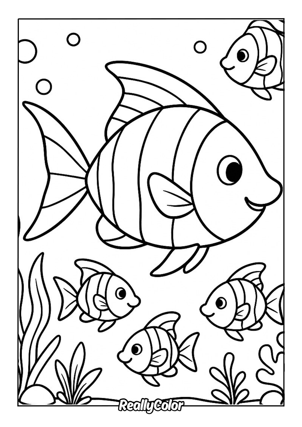 Free angelfish color page
