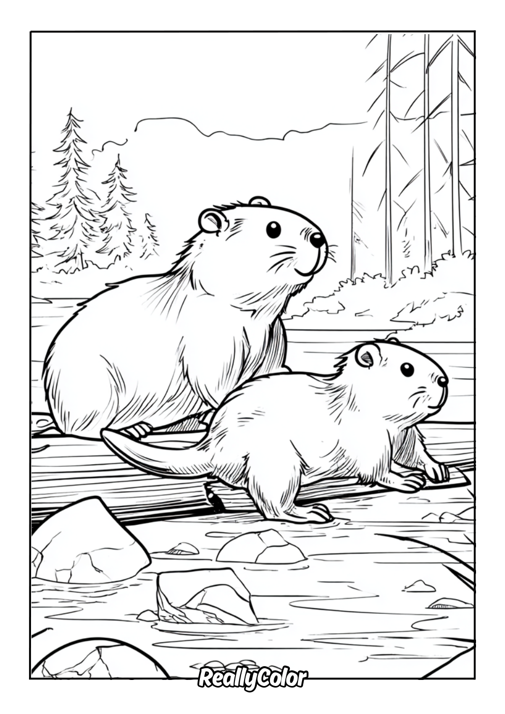 Free beavers coloring page
