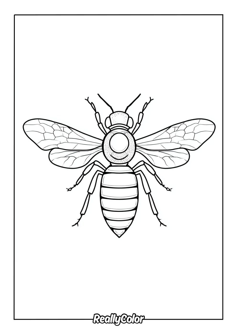 Free printable bee coloring page