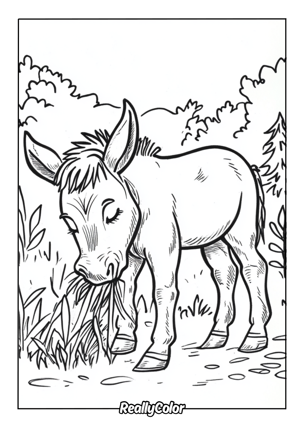 Free printable donkey coloring page