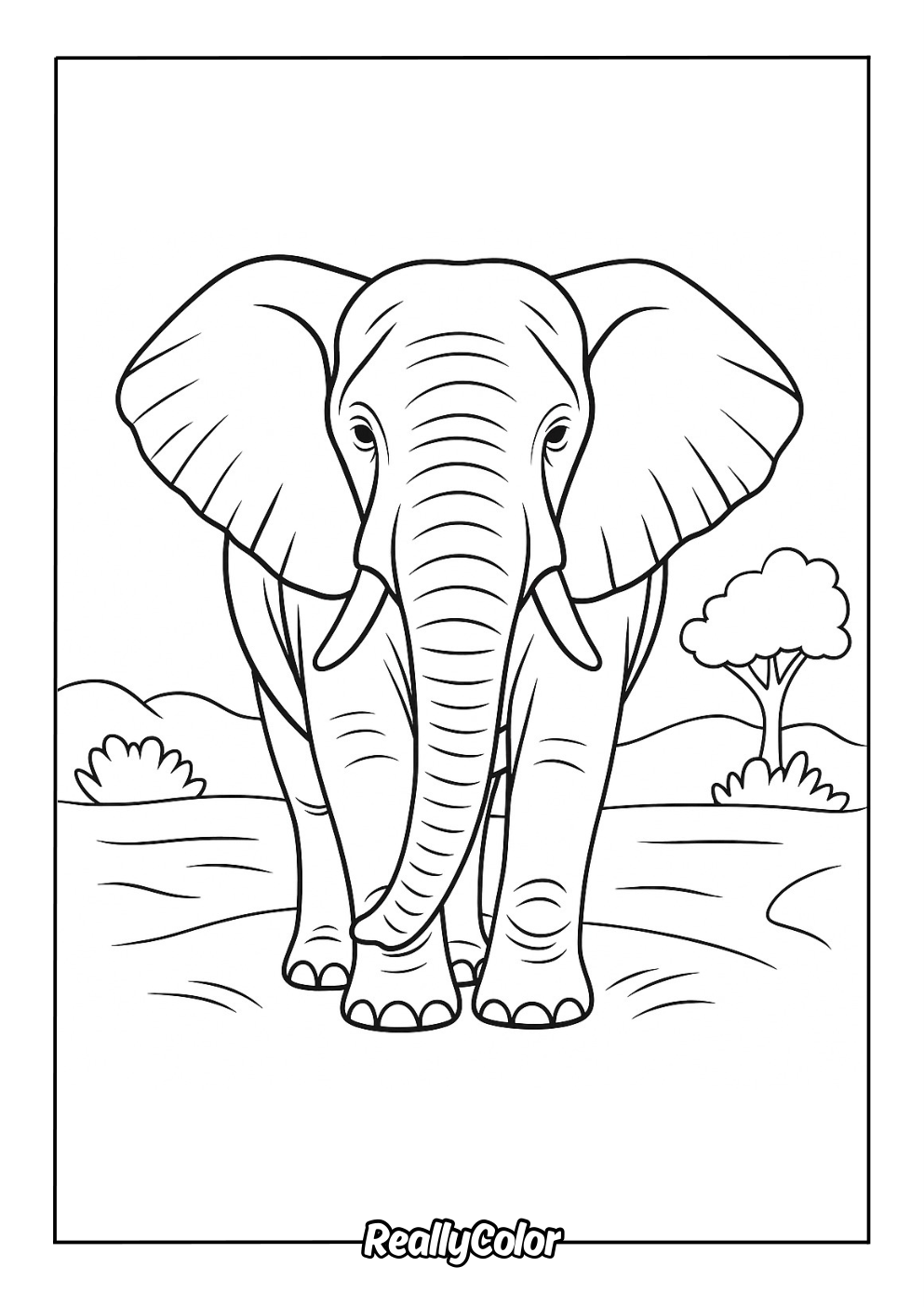 Free printable elephant coloring page