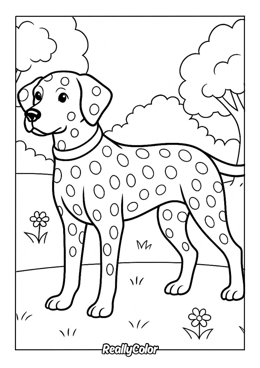 Fun coloring page of a dalmatian dog
