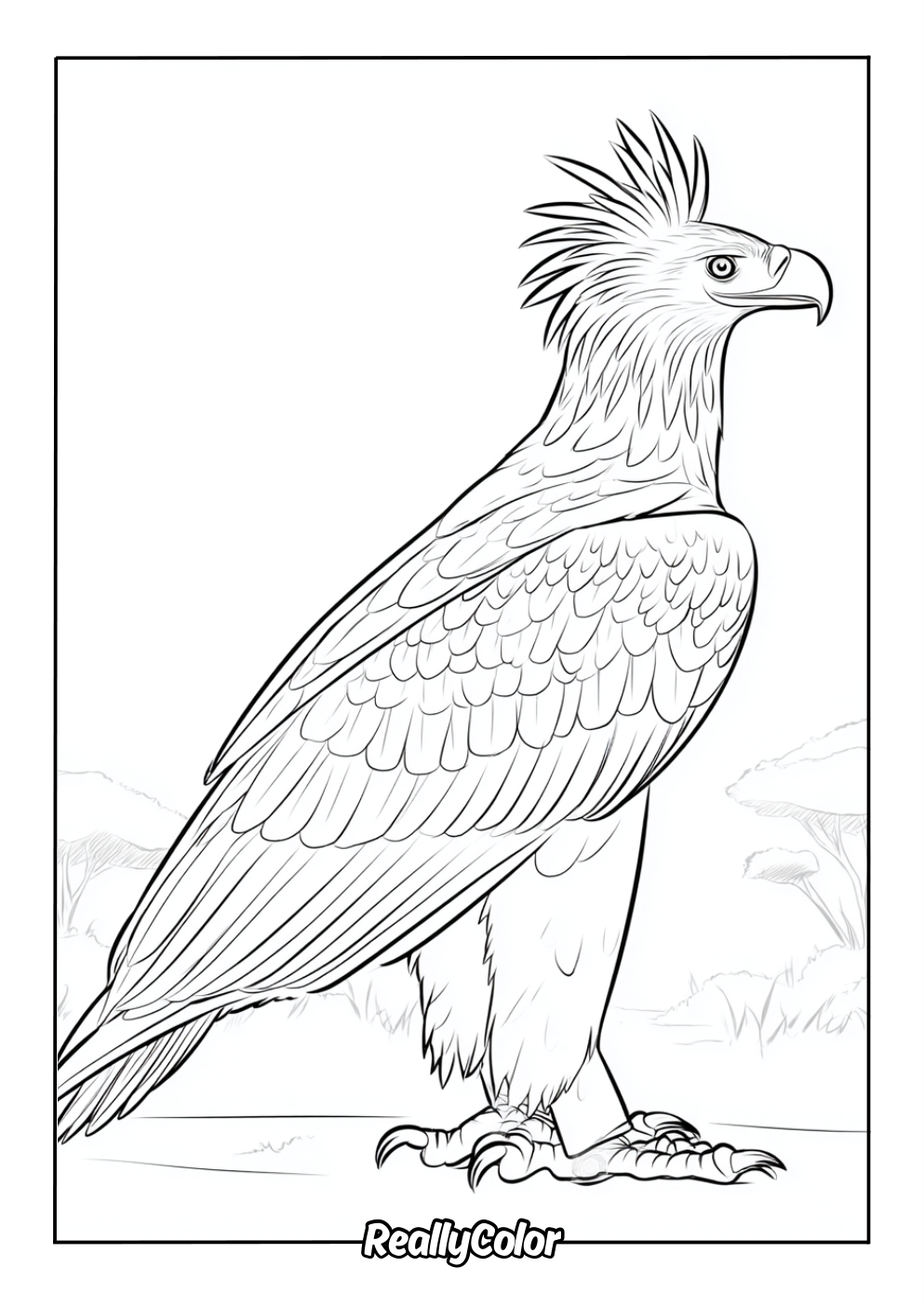 Fun eagle color page for adults