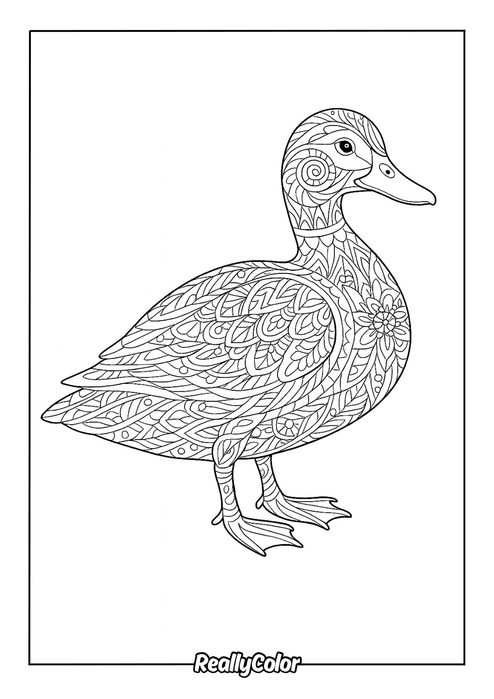 Patterned duck coloring page for adults