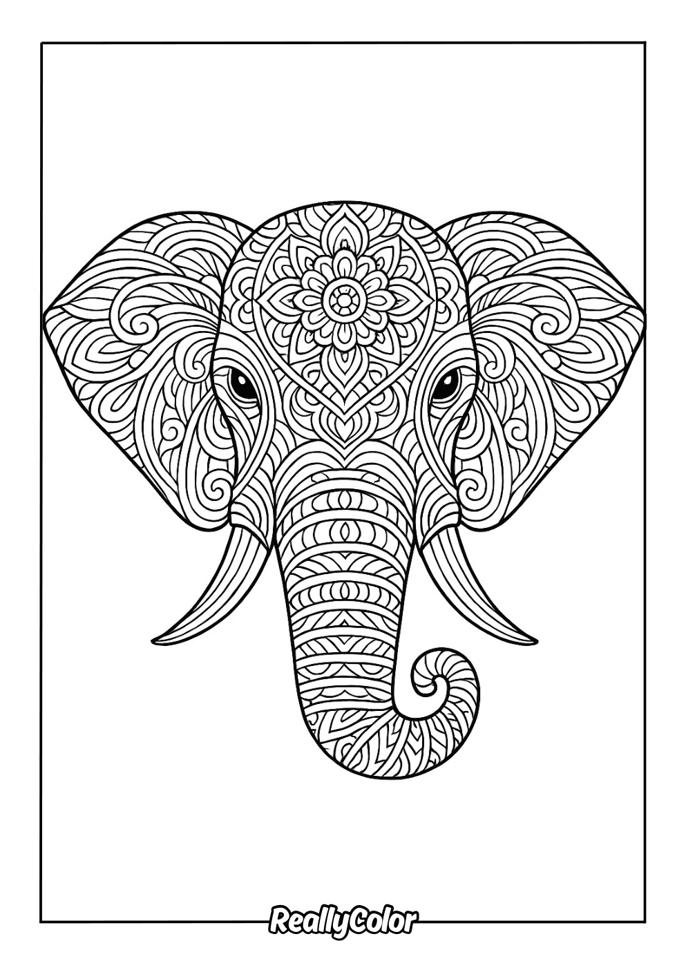 Patterned elephant coloring page for adults