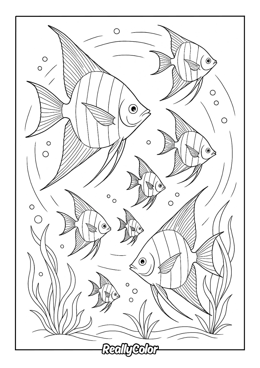 Printable angelfish coloring page