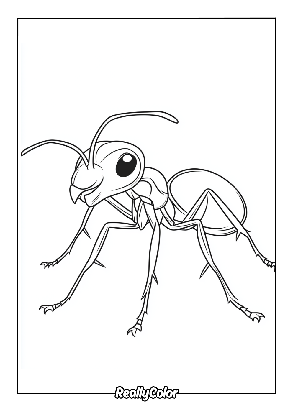 Real ant to color